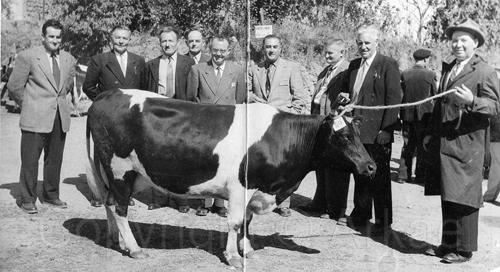 Arkae > Archives > Patrimoine rural> Laitiers d'Ergué-Gabéric > Comice agricole à Ergué-Gabéric - 1953